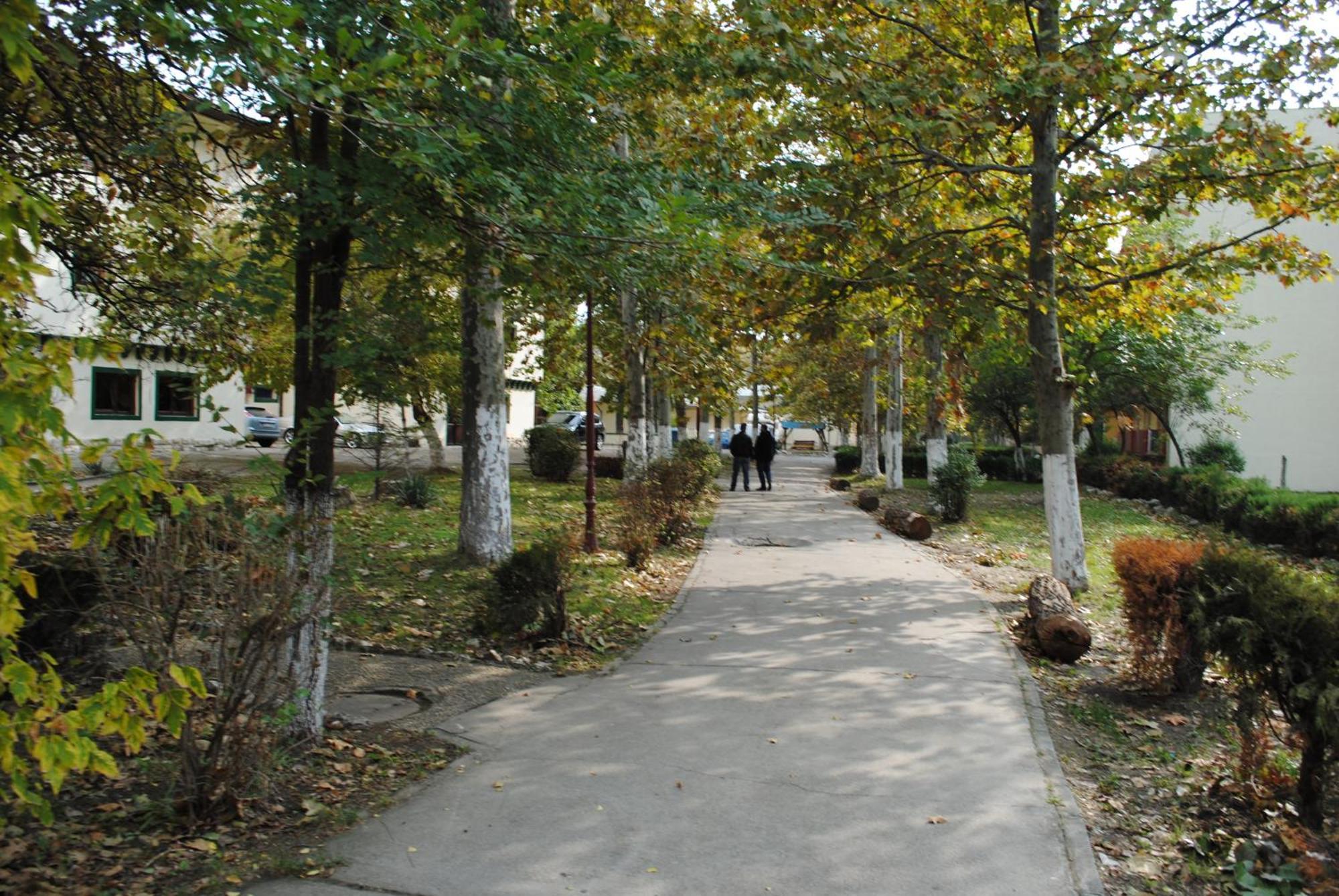 Complex Mediteranean Mamaia Exterior foto